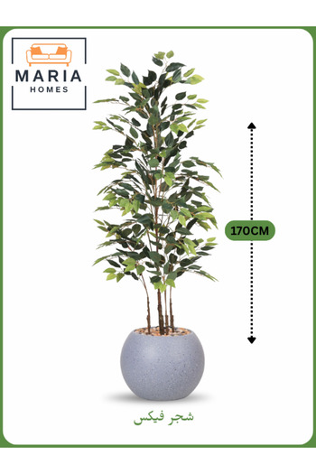 MARIA HOMES Artificial Ficus Tree 170 cm – Indoor Decorative Plant with Gray Pot