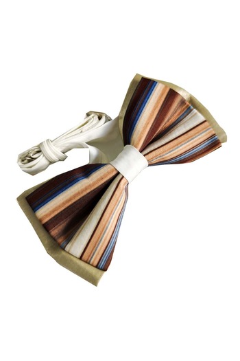 Exve Exclusive Brown Blue Stripes Handmade Classic Neck Adjustable Bow Tie on Beige