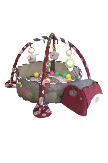 rexa Multifunctional Ball Pool Activity Gym