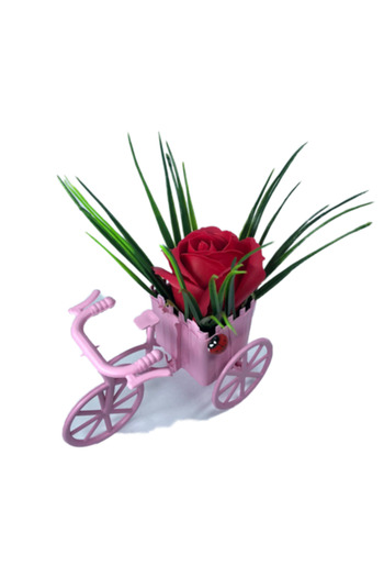 dalimag Floral Arrangement, Pink Bicycle, Red Soap Rose, Ladybug by