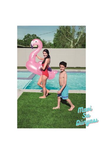 Bestway&Intex Flamingo Rider 127 X 127 cm