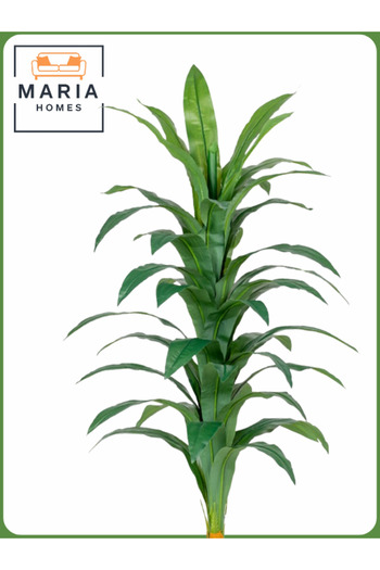 MARIA HOMES Artificial Corn Leaf Tree 145 cm – Decorative Indoor Plant with Gray Pot