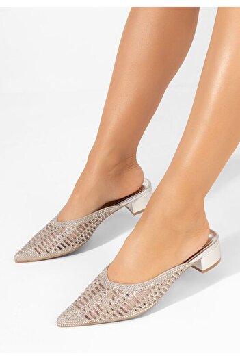 B T Shoes Elegant women's silver Guadalupe clogs