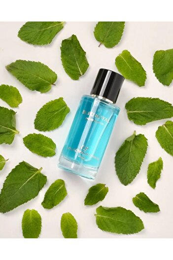 Asten Bleu Royal Perfume - Platinium Collection 50 ml, men