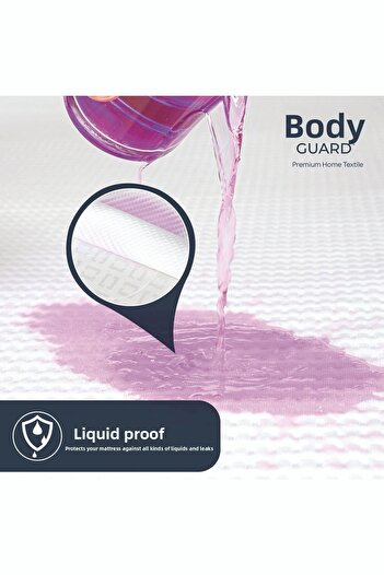 BEDY GUARD Ultra Soft 4-Piece Silent Liquid-Proof, Sweat-Proof and Goose Feather-Proof Cushion Protector