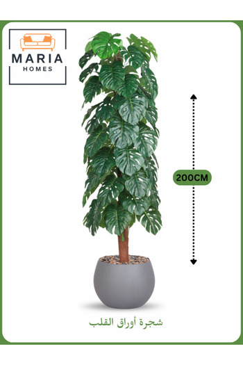 MARIA HOMES Artificial Monstera Tree 200 cm – Decorative Indoor Plant with Gray Pot