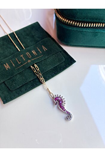 Miltonia Sea horse y necklace