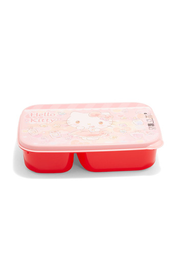 R&B Pink Bts Girls Lunch Box F