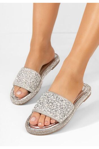 B T Shoes Papuci fara toc Karleenys argintii