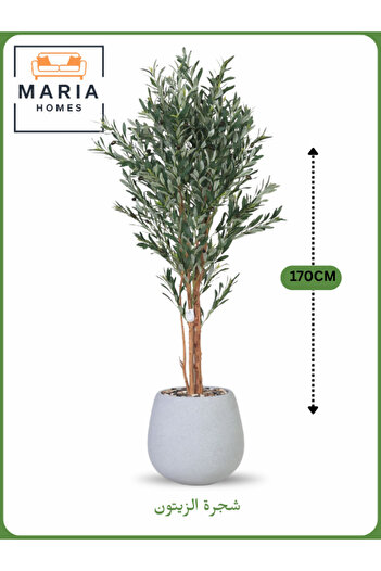 MARIA HOMES Artificial Olive Tree 170 cm – Decorative Indoor Tree with Gray Pot