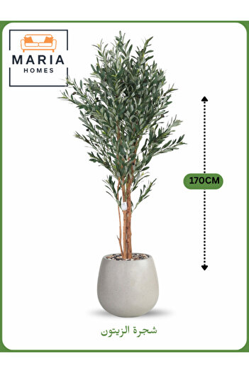 MARIA HOMES Artificial Olive Tree 170 cm – Decorative Indoor Tree with Light Gray Pot