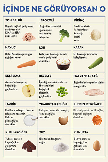 kito Fresh Ton Balıklı Taze Kedi Yemeği (%100 TAZE IÇERİKLİ MAMA)