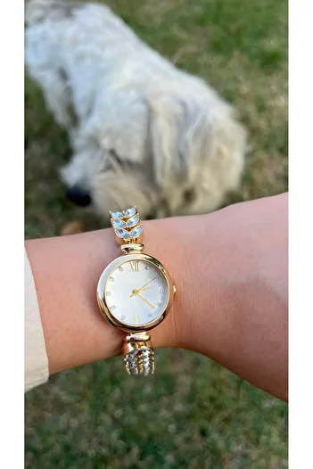 Bluemix Aksesuar Stone Steel Women's Watch
