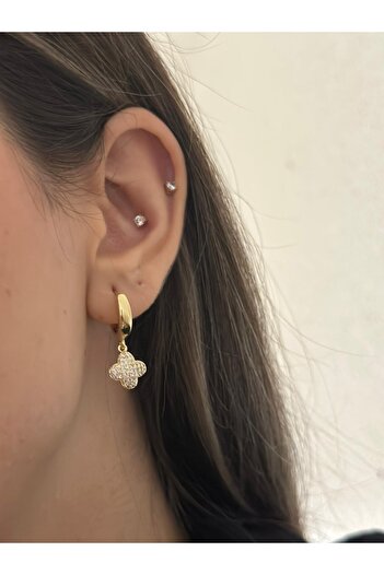MyladyAccessoriess Full Zircon Stone Detailed Clover Steel Earrings