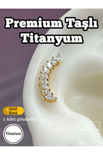 Karınca Piercing Taşlı Titanyum Piercing Luxury inner Conch Flat Helix Tragus Standard Lobe Kaliteli Kulak Küpe