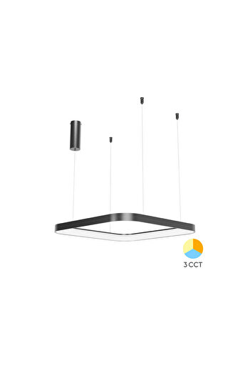 Braytron Decorative LED Pendant Bella