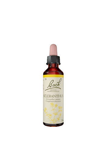 Bach Essence 28 SCLERANTHUS (WILD PIGEON)