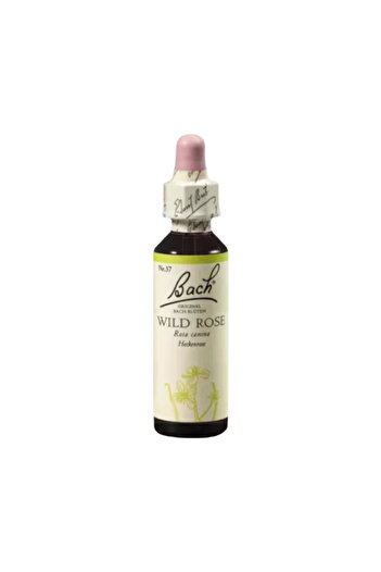 Bach Essence 37 WILD ROSE(MACES)