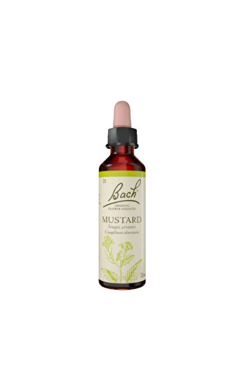 Bach Essence 21 MUSTARD (WILD MUSTARD)