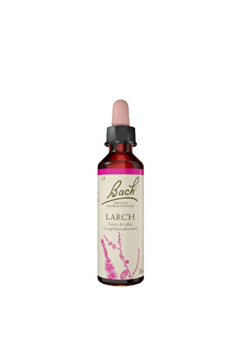 Bach Essence 19 LARCH(LARITA)