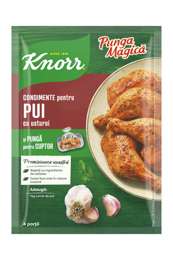 Knorr Knorr Magic Bag, chicken steak seasoning mix with garlic, 28g
