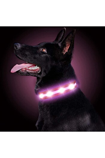 Gomyyard dog collar, LED, nylon, black/pink, size XS