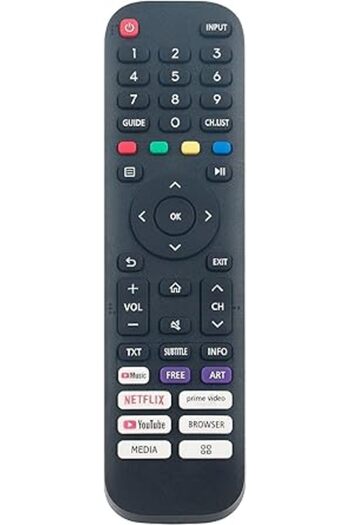 The Bros EN2J30H Remote for Hisense Vidaa Smart TV 32A45GV 40H5G 40A4GV 40A40GV 40H55G