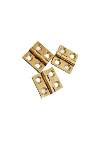 Nobel Brass Fixed Leaf Hinge 40X40X2 mm – 4 cm Decorative Hinge / 5 Pieces