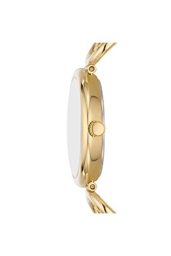 Fossil Fes5272 Women Wrist Watch