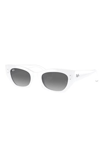 Ray-Ban Sunglasses Rb4430 49 675911