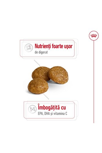 Royal Canin Royal Canin X-Small Adult dry food for very small dogs 3 kg
