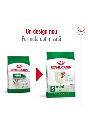 Royal Canin 8kg Royal Canin Mini Adult S dry food for small adult dogs