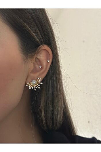 MyladyAccessoriess Zircon Stone Detail Premium Series Earrings