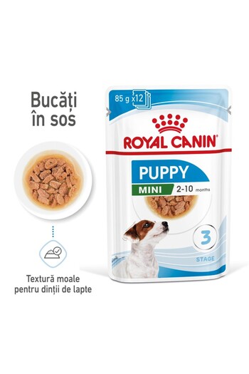 Royal Canin Hrană umedă Royal Canin Mini Puppy Gravy pentru câini de talie mică, căței și juniori, 12 x 85 g