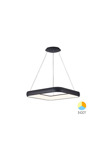 Braytron Decorative LED Fixture Bella