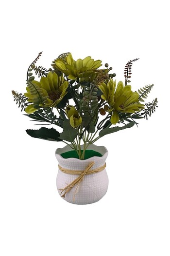 OEM Plastic Pot with Chrysanthemum, 17x25 cm, Green-Multicolor