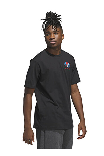 adidas M Hldy Gft Μαύρο ανδρικό T-Shirt Jv8438