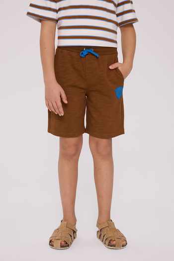 Nebbati Boy Brown Shorts