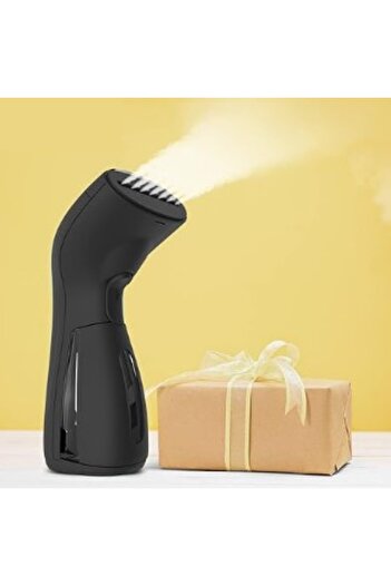 Adsinio Portable steam iron, Adsinio, Vertical and horizontal, 1000W, Matte Black, Carrying case, Lint brush