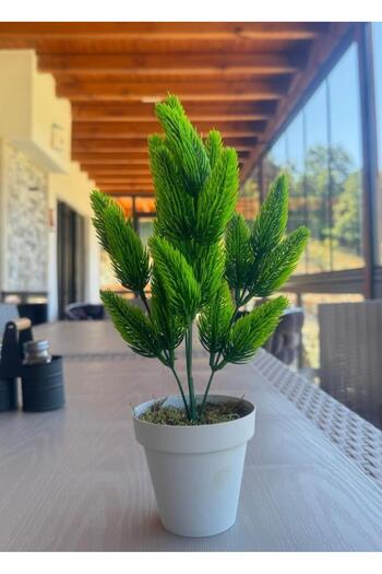 Nettenevime Yapay Çiçek Krem Saksıda Yeşil Kozalaklı Çam Demeti