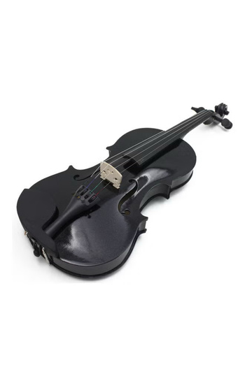 hoormusic Full size 4/4 violin, black color, with accessories