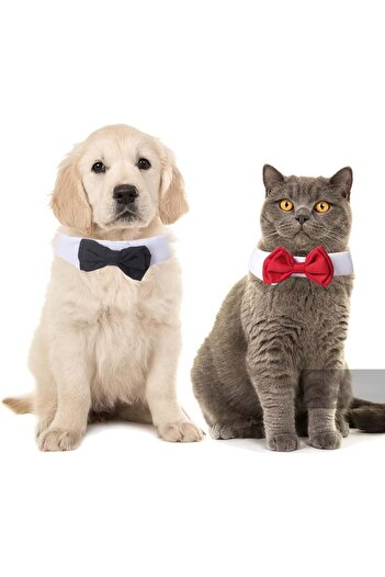 Butyeak Set of 2 dog/cat collars, white/black/red, cotton, 37 x 6 cm