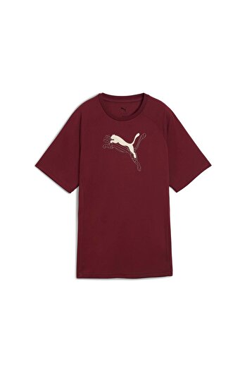 Puma Evostripe Graphic Tee Women Adult T-Shirt