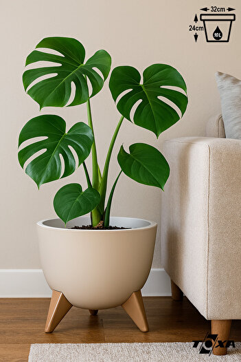 ToXA Ayaklı Küre Saksı 10 Litre Bej 32cm Plastik Drenajlı Süzgeçli Bonsai Bitki Çiçek Saksısı Ufo No3