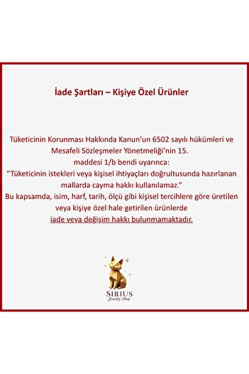 sirius jewelry 925 Ayar Gümüş Minimal Kalp Kolye
