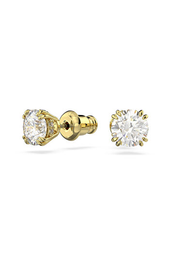 Swarovski Swr5642595 Women's Earrings