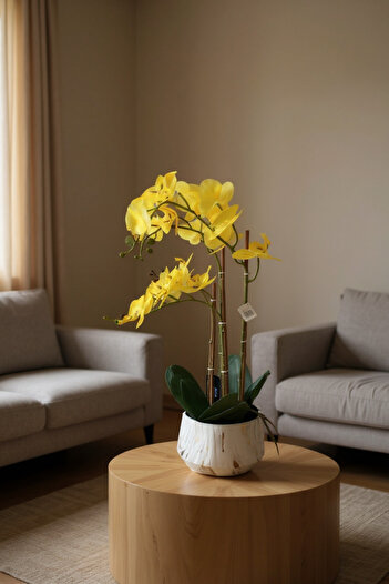 Living Yellow artificial orchids, multi-branch, white pot, height 69 cm