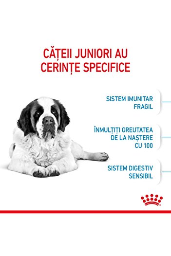 Royal Canin Hrană uscată Giant Junior pentru câini juniori, stadiul de creștere 2, 3,5 kg