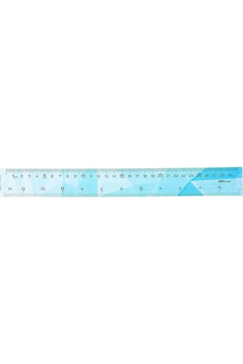 Deli EH651 Flexible Ruler 30cm / 12 Inch – Twistable Ruler in Pink, Blue, Purple, Yellow – Metri