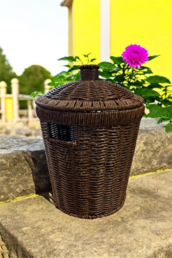 Bayev Acacia 2-Piece Medium and Mini Size Wicker Lid Potato Onion Basket Set Presentation Crisper Laundry Basket